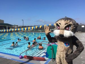 person in an otter costume in front of a pool.