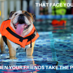 Pete the Bulldog - that face you make when your friends take the pledge